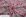  
Костюмка принт стрейч султан (вибір кольору): Молоко (рожеві-колоски)