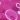 Коттон стрейч принт  (выбор цвета): Розовый шарики